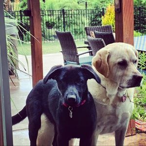 Meet your Posher, Nikole